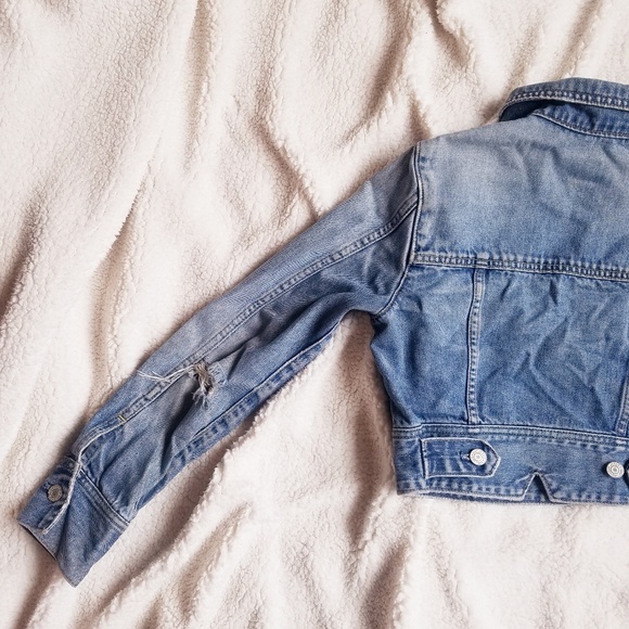 Jacket - Picture 3 of 5